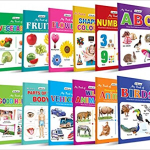 Picture Books ( set of 12 )